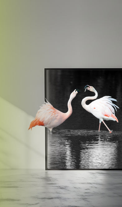 Zwei sich anschauende rosa Flamingos im Wasser. Einer ragt in schlichter gräulicher Umgebung zur Hälfte aus dem Bild.
