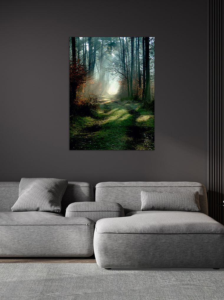 Darstellung eines Art Prints der Heimatlinse hängend an einer Wand in dunkler Umgebung mit Motiv von Sonnenstrahlen im Herbstwald.