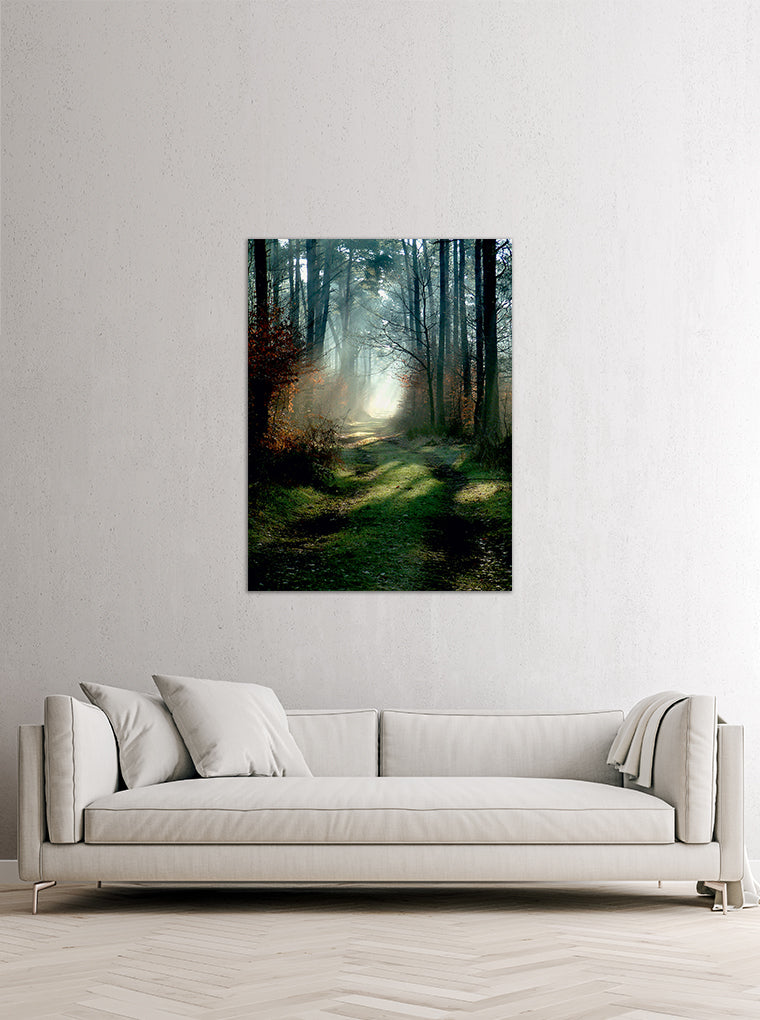  Darstellung eines Art Prints der Heimatlinse hängend an einer Wand in heller Umgebung mit Motiv von Sonnenstrahlen im Herbstwald.