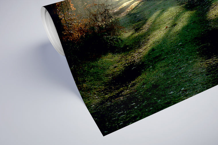 Darstellung eines Art Prints der Heimatlinse als halb aufgerolltes semi-mattes Poster mit Motiv von Sonnenstrahlen im Herbstwald.