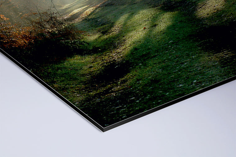 Darstellung eines Art Prints der Heimatlinse als matter UV-Direktdruck auf Aluverbund mit Motiv von Sonnenstrahlen im Herbstwald.