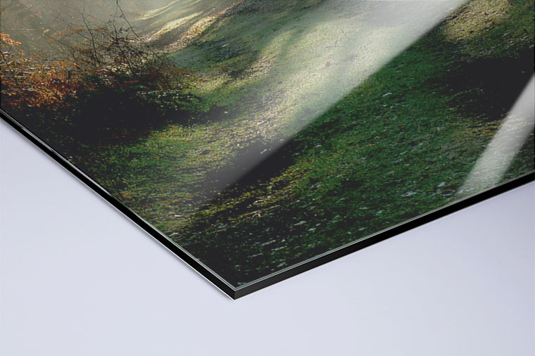 Darstellung eines Art Prints der Heimatlinse als hochglänzender UV-Direktdruck auf Aluverbund mit Motiv von Sonnenstrahlen im Herbstwald.