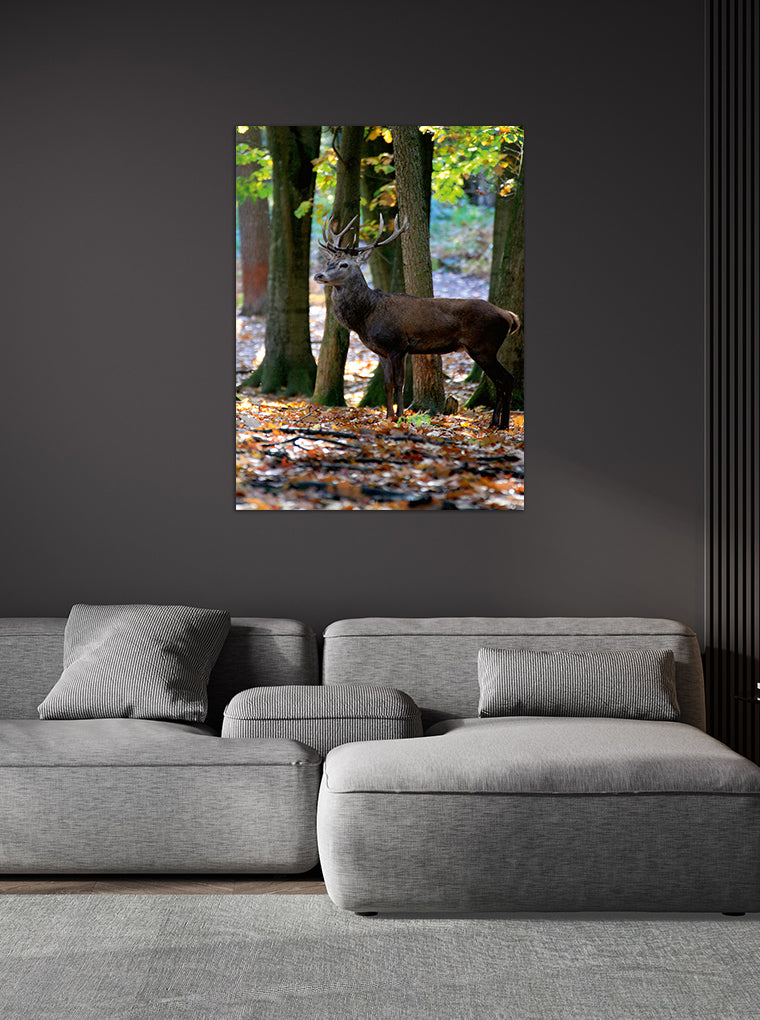 Darstellung eines Art Prints der Heimatlinse hängend an einer Wand in dunkler Umgebung mit Motiv eines Hirsches im Vredener Forst.