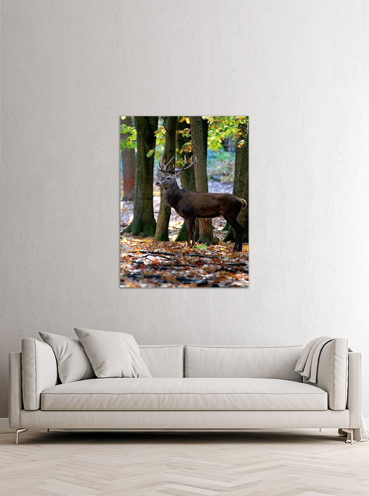 Darstellung eines Art Prints der Heimatlinse hängend an einer Wand in heller Umgebung mit Motiv eines Hirsches im Vredener Forst.