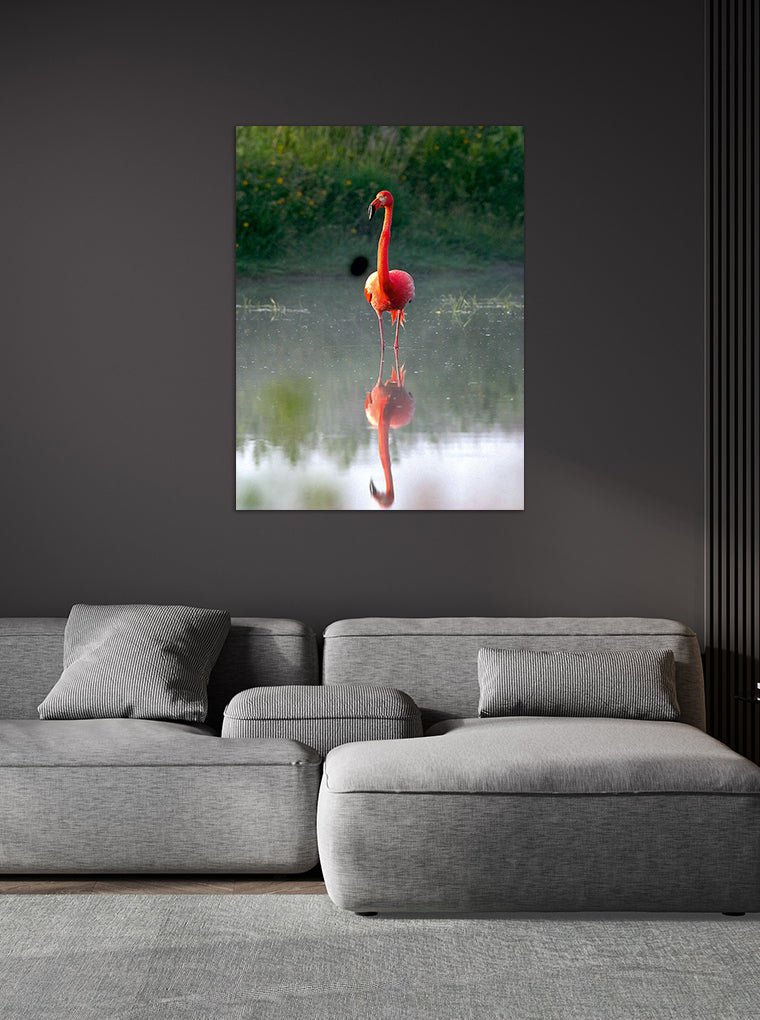 Darstellung eines Art Prints der Heimatlinse hängend an einer Wand in dunkler Umgebung mit Motiv eines sich im Wasser spiegelnden Flamingos.
