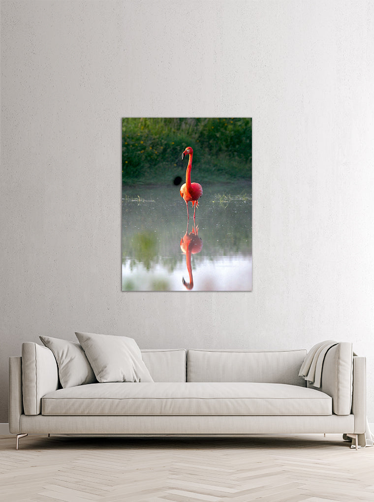 Darstellung eines Art Prints der Heimatlinse hängend an einer Wand in heller Umgebung mit Motiv eines sich im Wasser spiegelnden Flamingos.