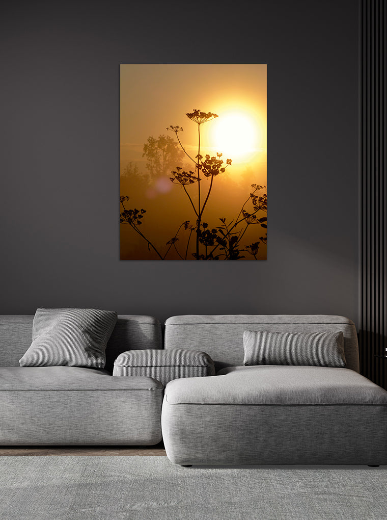 Darstellung eines Art Prints der Heimatlinse hängend an einer Wand in dunkler Umgebung mit Motiv einer Blumen-Silhouette bei Sonnenuntergang.