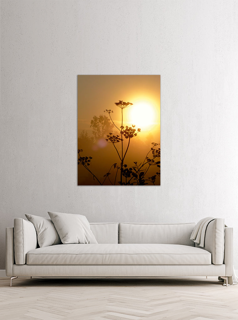 Darstellung eines Art Prints der Heimatlinse hängend an einer Wand in heller Umgebung mit Motiv einer Blumen-Silhouette bei Sonnenuntergang.