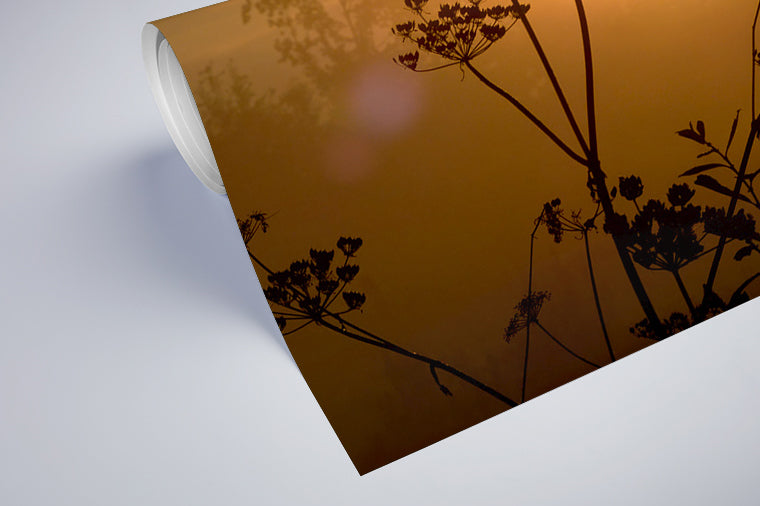 Darstellung eines Art Prints der Heimatlinse als halb aufgerolltes semi-mattes Poster mit Motiv einer Blumen-Silhouette bei Sonnenuntergang.