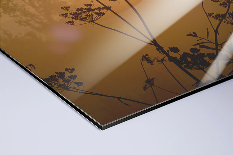 Darstellung eines Art Prints der Heimatlinse als hochglänzender UV-Direktdruck auf Aluverbund mit Motiv einer Blumen-Silhouette bei Sonnenuntergang.