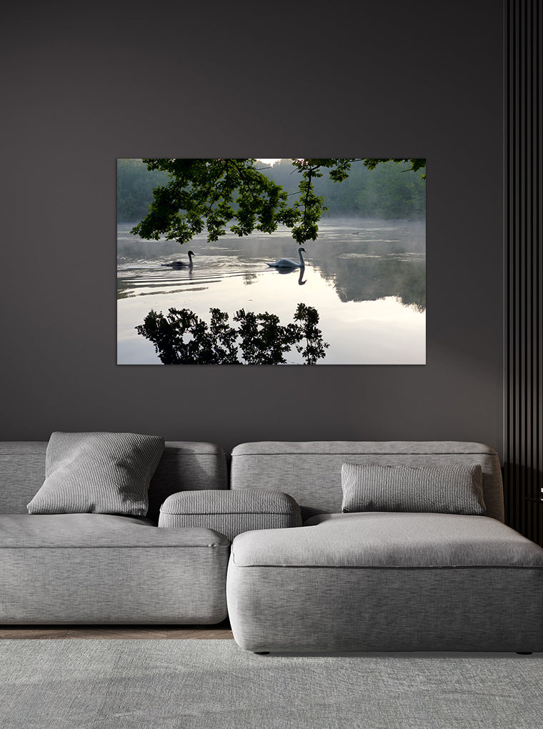Darstellung eines Art Prints der Heimatlinse hängend an einer Wand in dunkler Umgebung mit Motiv von Schwänen auf dem Berkelsee.