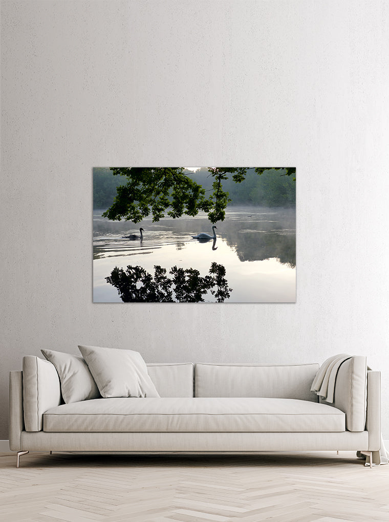 Darstellung eines Art Prints der Heimatlinse hängend an einer Wand in heller Umgebung mit Motiv von Schwänen auf dem Berkelsee.