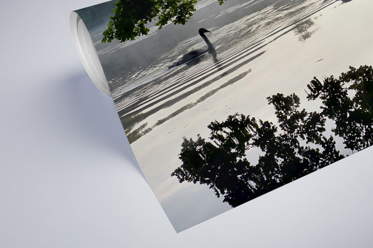 Darstellung eines Art Prints der Heimatlinse als halb aufgerolltes semi-mattes Poster mit Motiv von Schwänen auf dem Berkelsee.