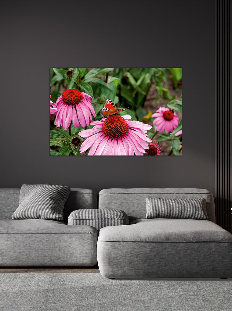 Darstellung eines Art Prints der Heimatlinse hängend an einer Wand in dunkler Umgebung mit Motiv eines Schmetterlings auf rosa Blüte.