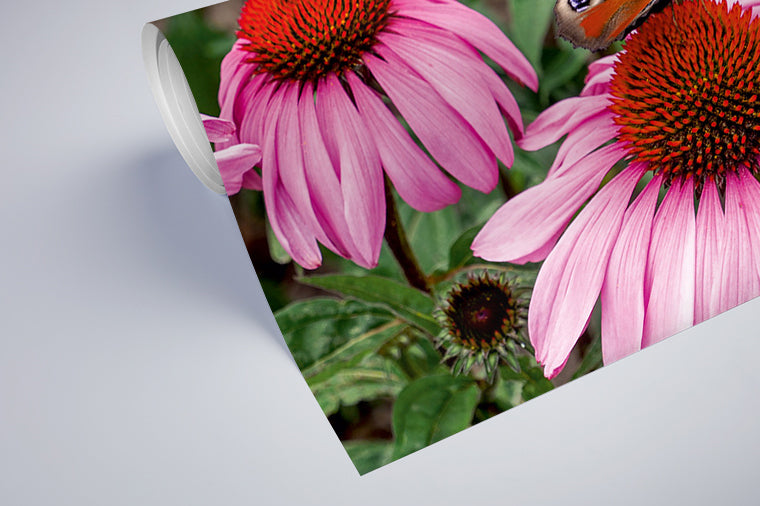 Darstellung eines Art Prints der Heimatlinse als halb aufgerolltes semi-mattes Poster mit Motiv eines Schmetterlings auf rosa Blüte.