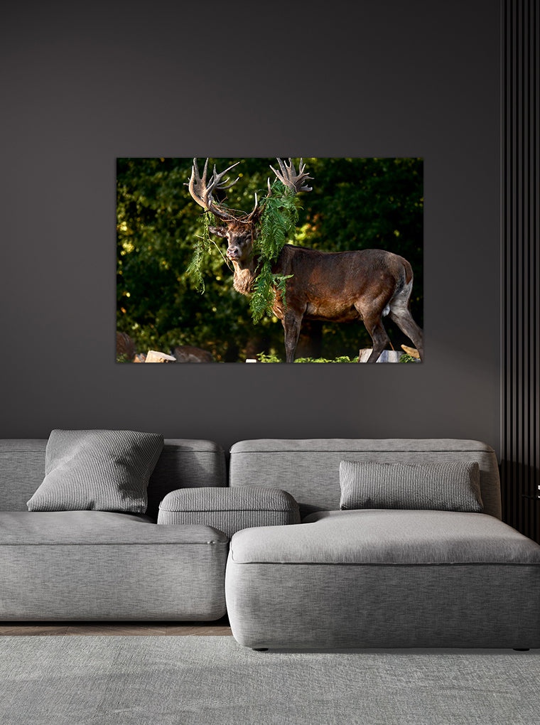 Darstellung eines Art Prints der Heimatlinse hängend an einer Wand in dunkler Umgebung mit Motiv eines Hirsches mit Farnschmuck im Geweih.