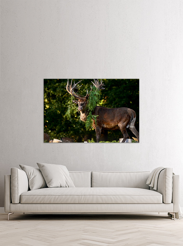 Darstellung eines Art Prints der Heimatlinse hängend an einer Wand in heller Umgebung mit Motiv eines Hirsches mit Farnschmuck im Geweih.