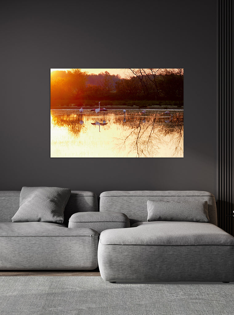 Darstellung eines Art Prints der Heimatlinse hängend an einer Wand in dunkler Umgebung mit Motiv von Flamingos bei Sonnenaufgang im Wasser.