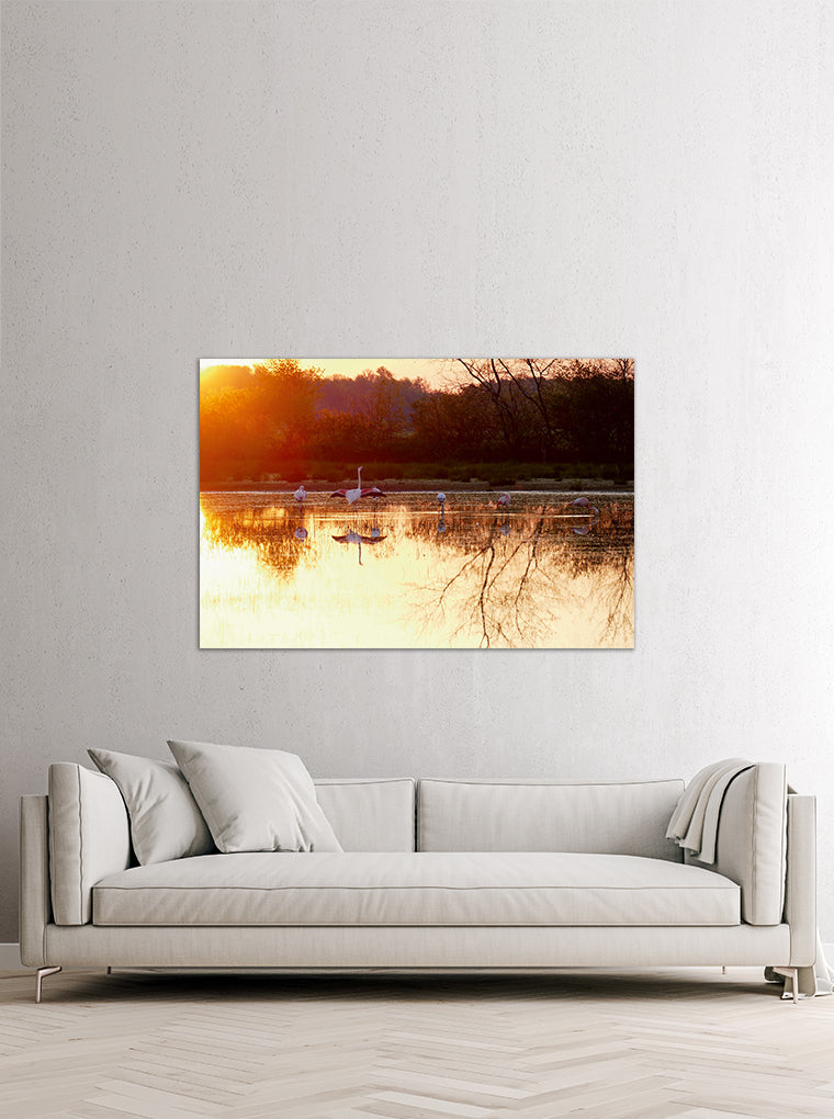 Darstellung eines Art Prints der Heimatlinse hängend an einer Wand in heller Umgebung mit Motiv von Flamingos bei Sonnenaufgang im Wasser.