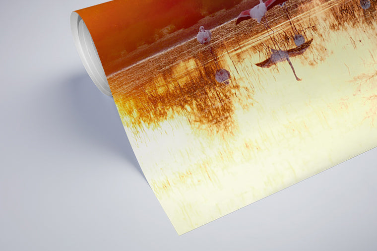 Darstellung eines Art Prints der Heimatlinse als halb aufgerolltes semi-mattes Poster mit Motiv von Flamingos bei Sonnenaufgang im Wasser.