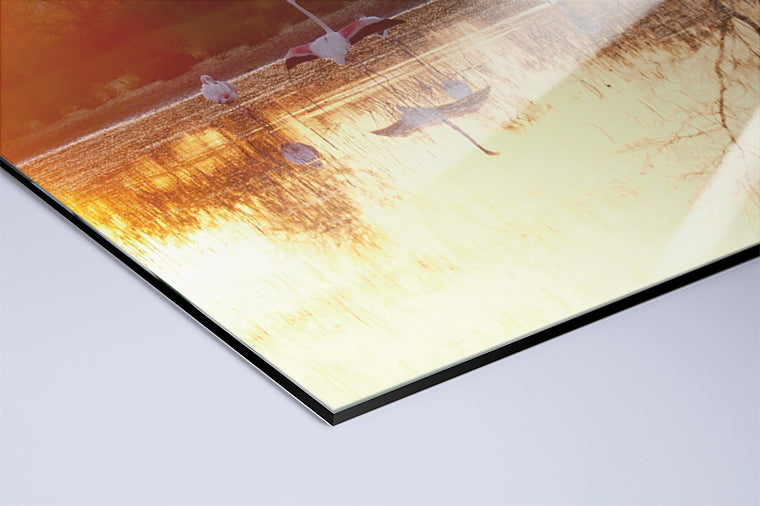 Darstellung eines Art Prints der Heimatlinse als hochglänzender UV-Direktdruck auf Aluverbund mit Motiv von Flamingos bei Sonnenaufgang im Wasser.