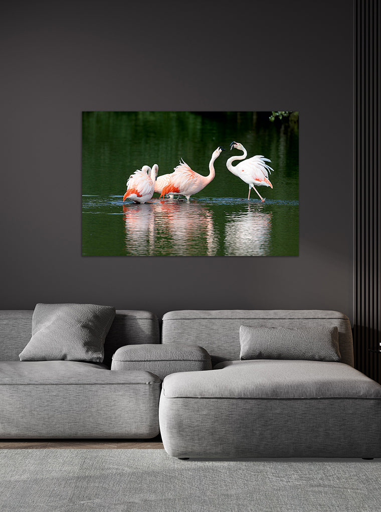 Darstellung eines Art Prints der Heimatlinse hängend an einer Wand in dunkler Umgebung mit Motiv von drei Flamingos im Wasser.