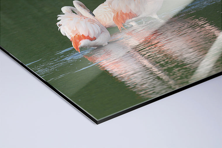 Darstellung eines Art Prints der Heimatlinse als hochglänzender UV-Direktdruck auf Aluverbund mit Motiv von drei Flamingos im Wasser.