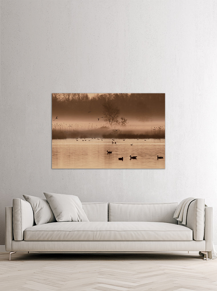 Darstellung eines Art Prints der Heimatlinse hängend an einer Wand in heller Umgebung mit Motiv von Wasservögeln im Morgennebel.