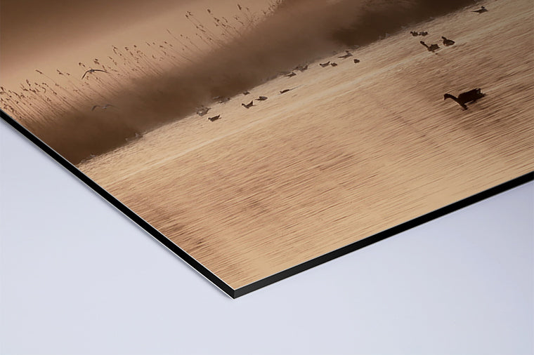 Darstellung eines Art Prints der Heimatlinse als matter UV-Direktdruck auf Aluverbund mit Motiv von Wasservögeln im Morgennebel.