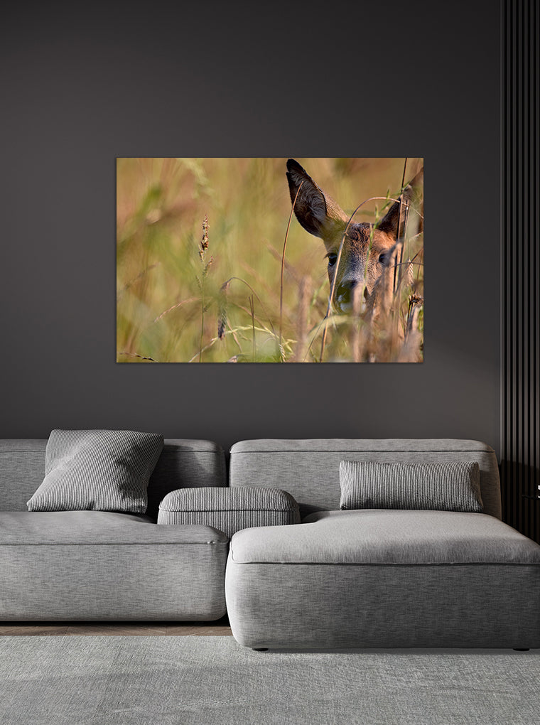 Darstellung eines Art Prints der Heimatlinse hängend an einer Wand in dunkler Umgebung mit Motiv eines Rehkitz-Portraits im hohen Gras.