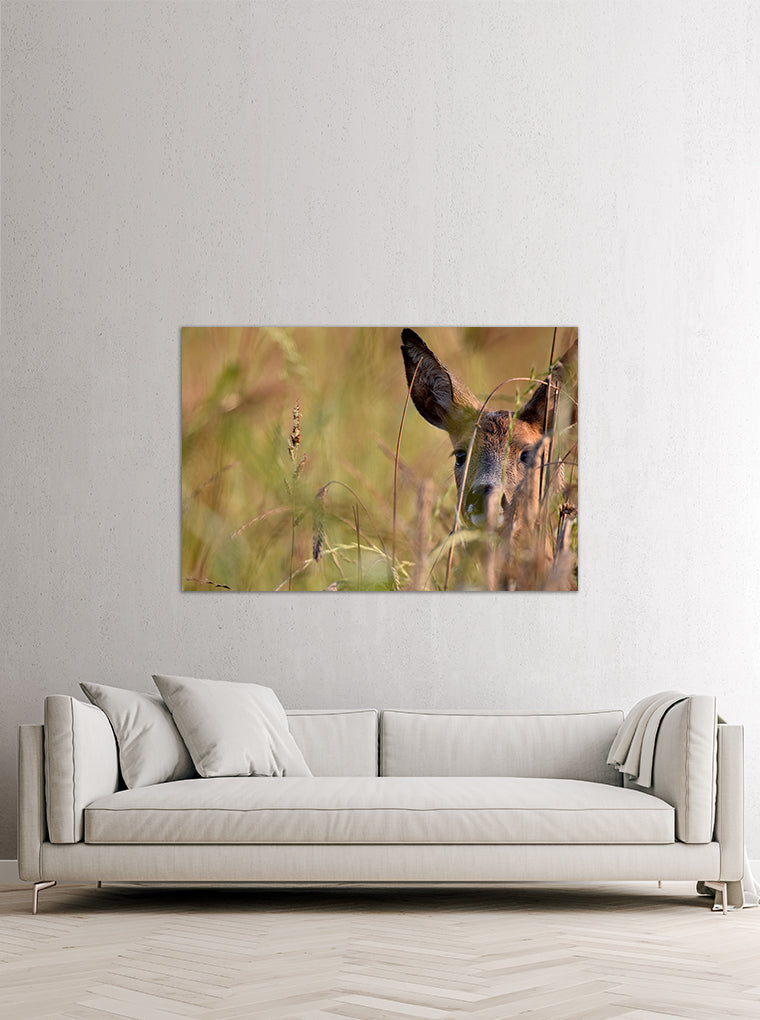 Darstellung eines Art Prints der Heimatlinse hängend an einer Wand in heller Umgebung mit Motiv eines Rehkitz-Portraits im hohen Gras.