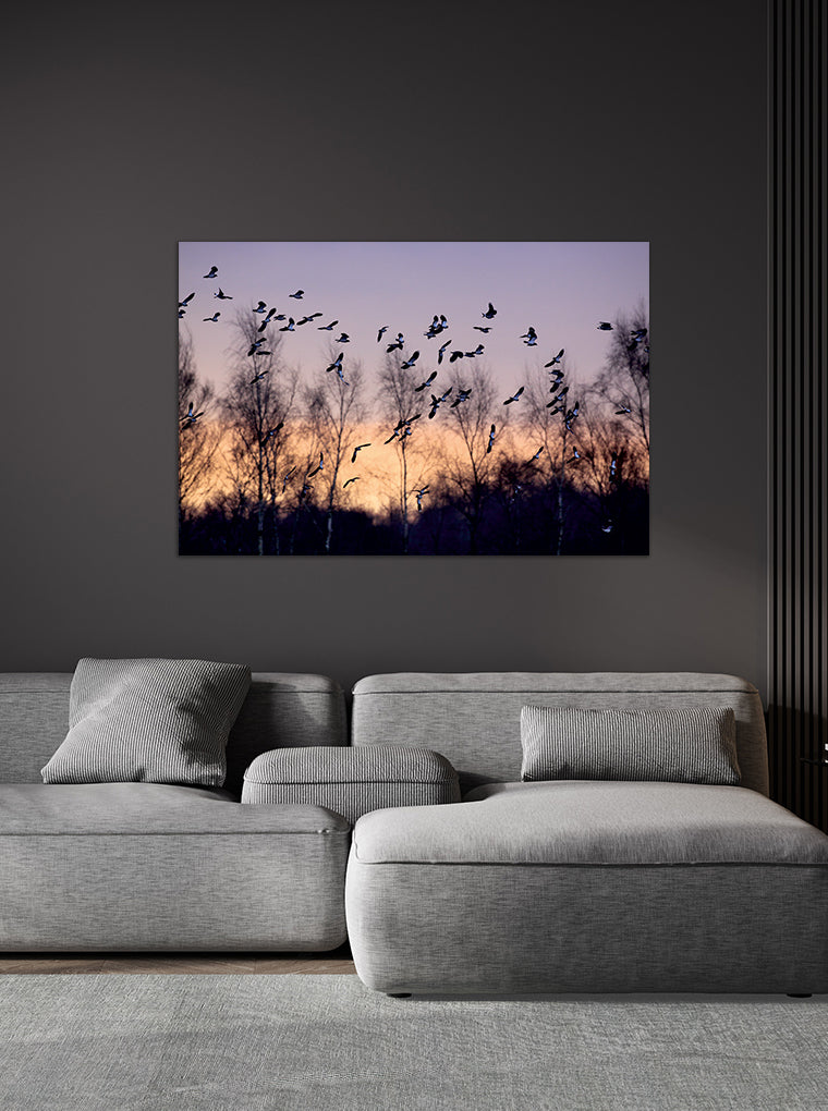 Darstellung eines Art Prints der Heimatlinse hängend an einer Wand in dunkler Umgebung mit Motiv eines Vogelschwarms bei Tagesanbruch.