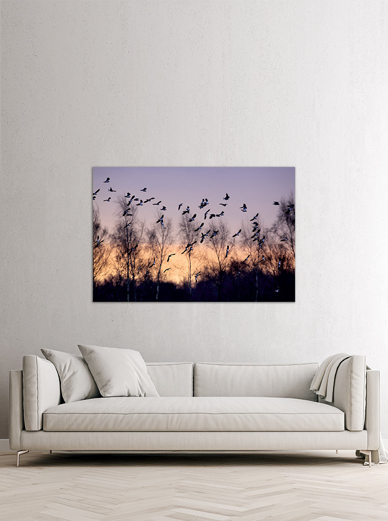 Darstellung eines Art Prints der Heimatlinse hängend an einer Wand in heller Umgebung mit Motiv eines Vogelschwarms bei Tagesanbruch.